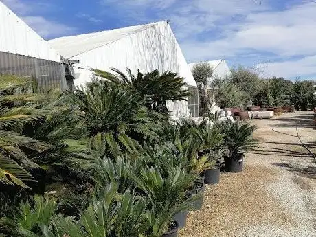 Photo de Lusoverde Garden Center