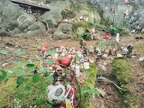 Photo de Trollskogen