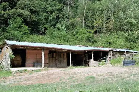 Photo de La Collina