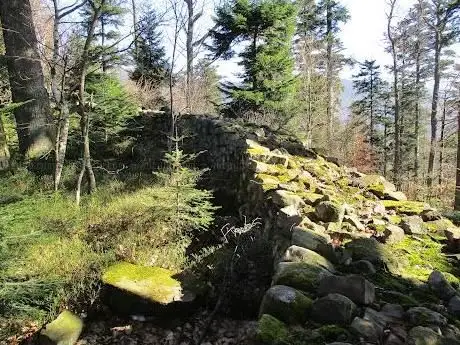 Photo de Ruines du Château du Petit-Ringelstein