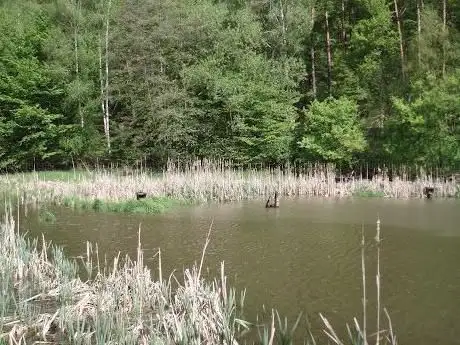 Photo de Ponávka Valley