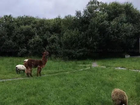Photo de Letterfrack Farm Experience