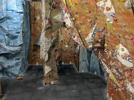 Photo of Blue Spider Climbing