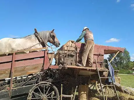 Photo de Les Vieux Métiers (officiel)