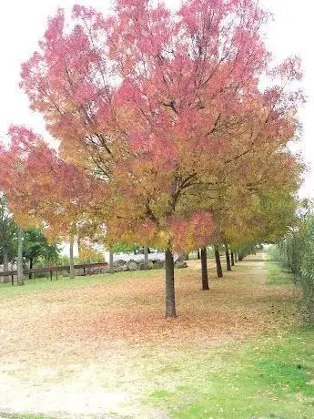 Photo of Parc départemental du Plateau