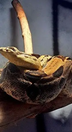 Photo of Aquarium Poreč