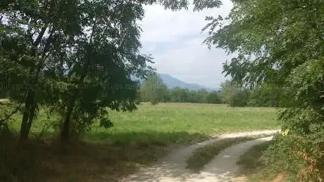 Photo de Parco Fluviale Gesso di Borgo