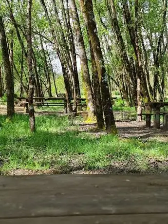 Photo de Parque do Regatinho