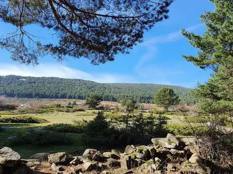 Photo de FUENTE DE LA RAJA