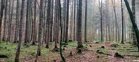 Photo de Höhenkirchner Forst