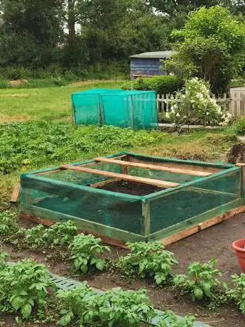 Photo de Bexley Allotments - Knoll Road