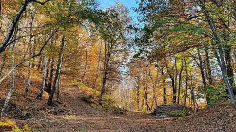 Photo de Parc naturel du Mont Fenera