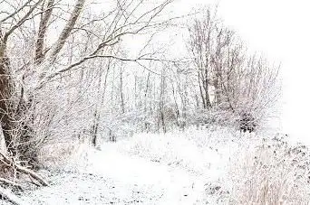Photo de Vrombautsput