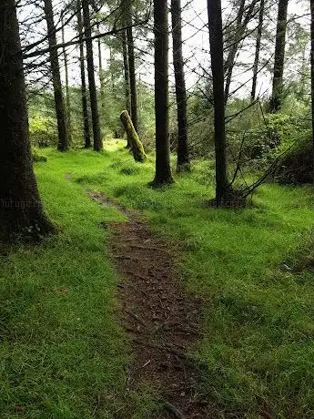 Photo de Saggart Hill