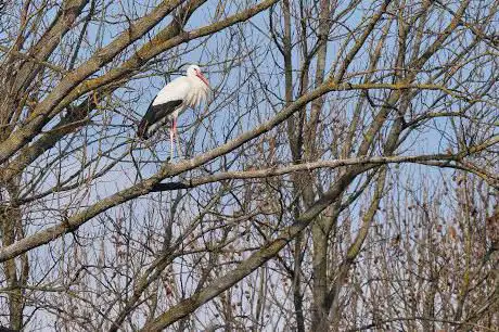 Photo de Parco Cascina Venara