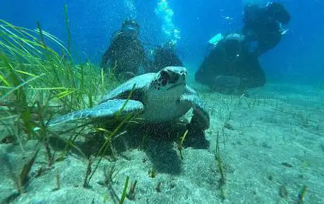 Photo de Excel Scuba Diving Tenerife