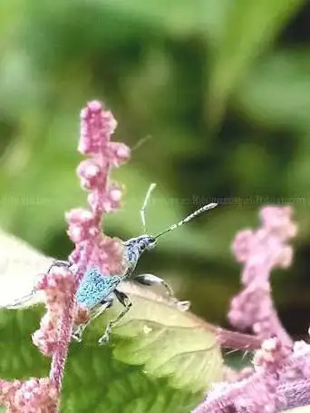 Foto de Promenade D'Ors