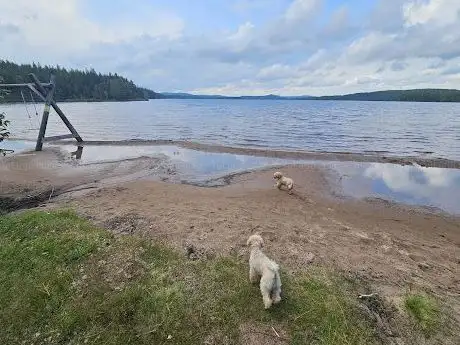 Photo de Djuprämmen
