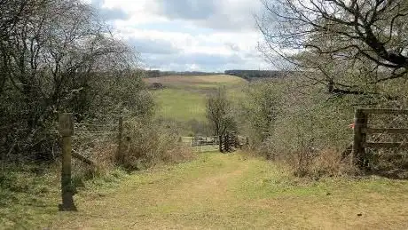 Photo de Ellerburn Bank Nature Reserve