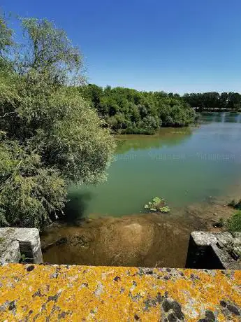 Photo de Espace naturel sensible île de la Motte