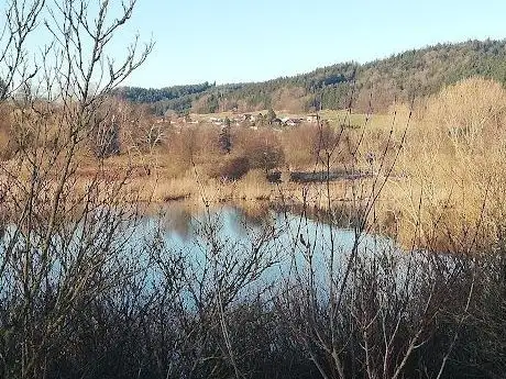 Photo de Staubecken Teichstätt