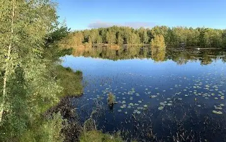 Photo de Mustadammen
