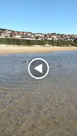 Photo de Penpol Bridge (Tidal)