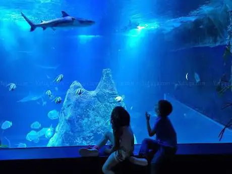Photo of Aquarium de Biarritz
