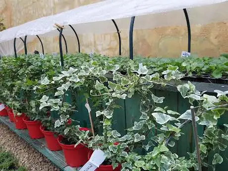 Photo de De Vormtuin