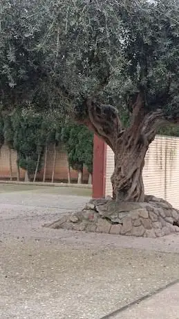 Photo de Parroquia de San Juan Bautista