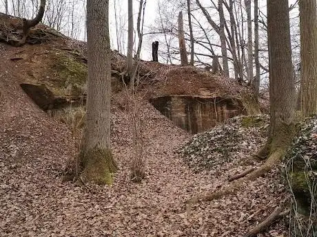 Photo de Östlicher Quellbach zum Märchenweiher