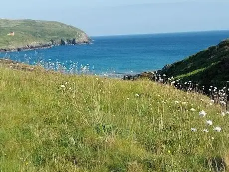 Chimney Cove