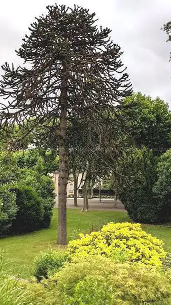 Photo de Promenades De Mazamet Garden