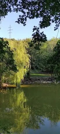 Photo de Mistraž Bara