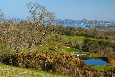 Bray Head