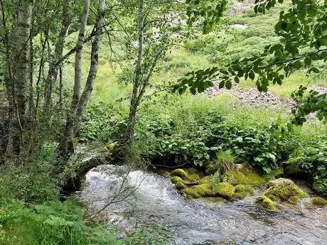 Photo de Pinar de Lillo