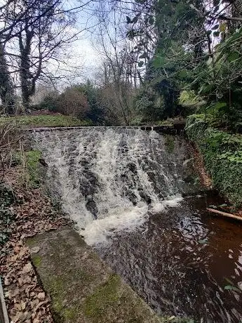 Photo de Springvale Mini Waterfall