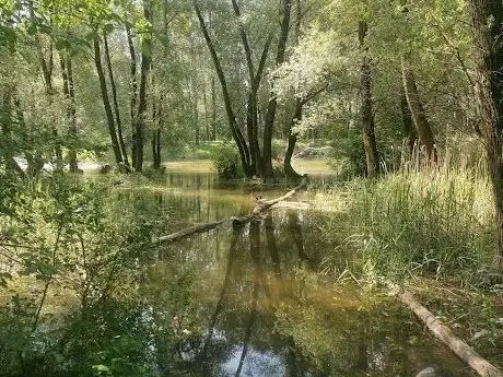 Photo de The Stockerauer Au