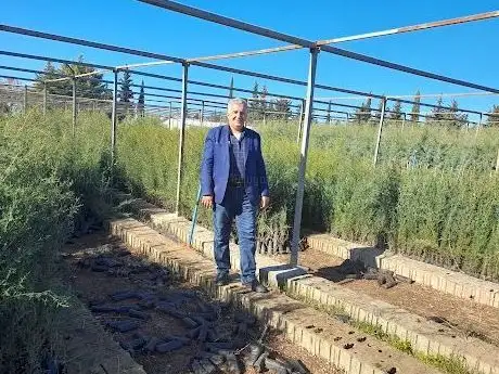 Photo de Green area