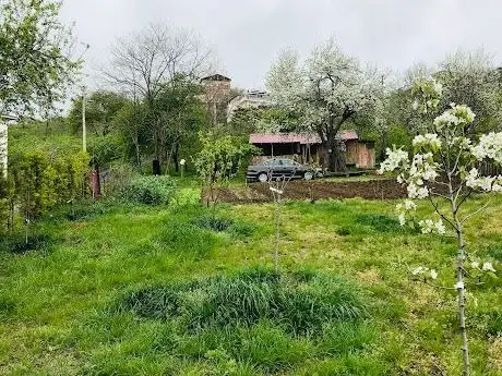 Photo de Ali Bey’in Çiftliği Perşembe/ORDU