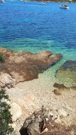 Photo de Artatore
