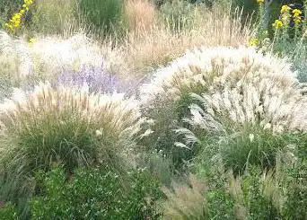 Photo de Le Jardin Champêtre