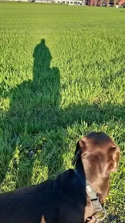 Photo of SC Hegi Winterthur