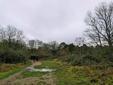Photo of National Trust - Witley and Milford Commons