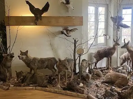 Photo de Lovački muzej HLS-a (Hunting Museum)