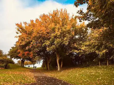 Photo de Kenton Dene Park