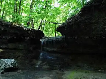 John M Olin Nature Preserve (Nature Institute)