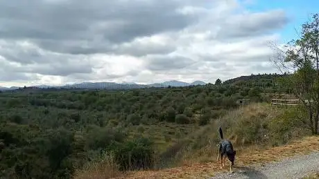 Photo de Ãrea recreativa los Novales