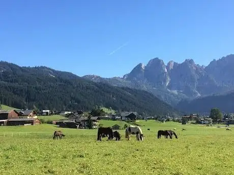 Photo de Pferdehof Reiter Gosau