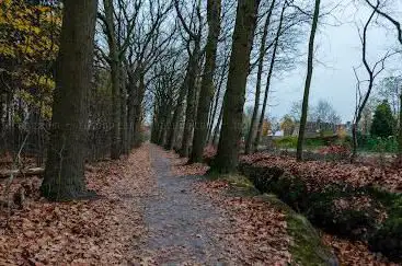 Photo de Nature Gorloopronde